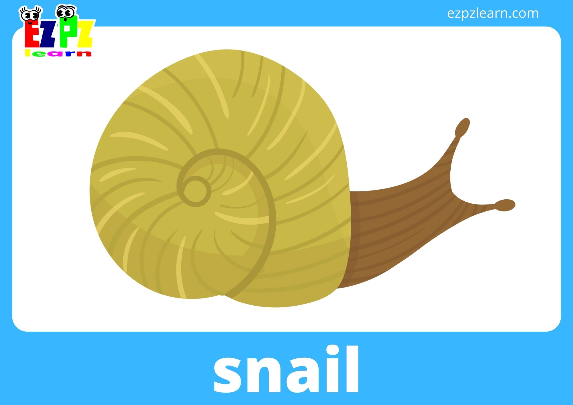 snail